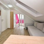 private_penthouse_4